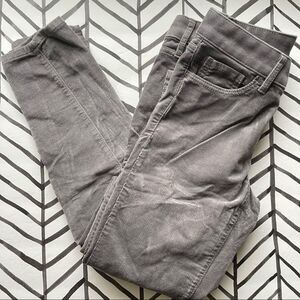 LOFT Gray Velvet Curvy Skinny Jeans